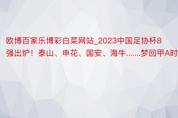 欧博百家乐博彩白菜网站_2023中国足协杯8强出炉！泰山、申花、国安、海牛.......梦回甲A时期